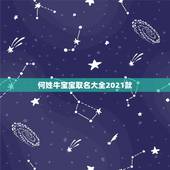 何姓牛宝宝取名大全2021款，何姓牛宝宝取名大全2021款