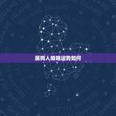 属狗人婚姻运势如何，属狗人的一生命运如何