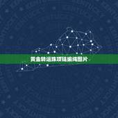 黄金转运珠项链编绳图片，我想编一个简单的手链就放一颗转运珠可不知道怎么