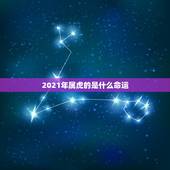 2021年属虎的是什么命运，2021年47岁属什么生肖