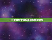 十二生肖男女婚配表属相婚配大全，属相婚配表，属蛇的和什么属相最配