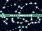 男属兔和女属鸡是否能婚配，属鸡的和什么属相最配