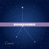 属虎和属虎的婚姻配吗，属虎的能和属虎的人婚配吗？