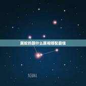 属蛇的跟什么属相婚配最佳，属蛇的最佳配偶 属蛇的命运性格 属蛇的和什么