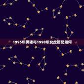 1995年男猪与1998年女虎婚配如何，1995年属猪的和1998年属