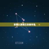 家里人属相三合猪羊兔，属猪与什么属相是三合