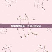 属相相刑是某一个月还是全年，婚姻中属相相刑是什么意思