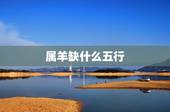 属羊缺什么五行，1991年属羊五行缺什么