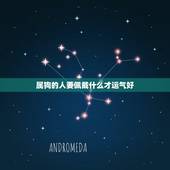 属狗的人要佩戴什么才运气好，2021年属狗的人佩戴什么吉祥物好运气，能