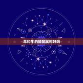 羊和牛的婚配属相好吗，属牛和属羊的人在一起真的合适吗？
