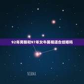 92年男猴和97年女牛属相适合结婚吗，92年男属猴97年女属牛婚姻配不