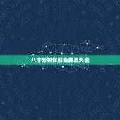 八字分析详解免费袁天罡，免费详解八字