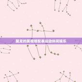 属龙的属相婚配表运动休闲娱乐，属龙人和什么属相不合