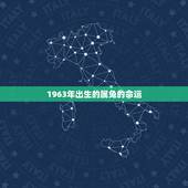 1963年出生的属兔的命运，1963年7月份出生的兔的命运