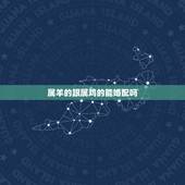 属羊的跟属鸡的能婚配吗，男属羊，女属鸡婚配怎么样？2011年哪天适合结