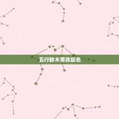 五行缺木男孩起名，【非常急】五行缺木的男孩
