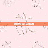 属鸡的2022年的运势，81年属鸡男2021年运势及运程