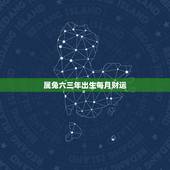 属兔六三年出生每月财运，六三点出生的属兔的人