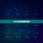 2022年好运的日柱，八字的月柱还是日柱重要，李居明的饿命学有用吗？就