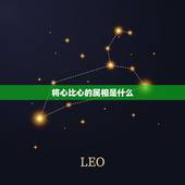 将心比心的属相是什么，孔明好乘浮云骢，将心比心人自懂打一生肖