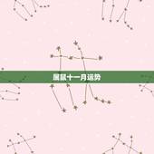 属鼠十一月运势，十一月属鼠的人命好么？