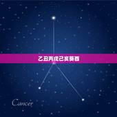 乙丑丙戌己亥葵酉，己亥年甲戌月是哪个月