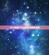 1975兔和1978年的马婚配如何，1975年属兔男与1978年属马女