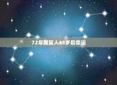 72年属鼠人48岁后命运，72年属鼠49岁交运