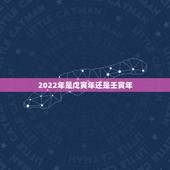 2022年是戊寅年还是壬寅年，2022年壬寅年国运