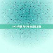 1978年属马今年的运程怎样，属马的三大贵人