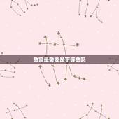命宫是癸亥是下等命吗，癸亥日柱男命严重克妻
