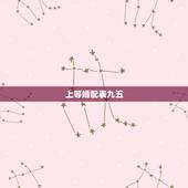 上等婚配表九五，95年属猪的姻缘在哪年