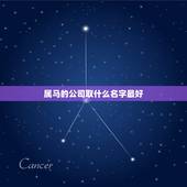 属马的公司取什么名字最好，帮忙取个公司名要洋气点的最好带有马字的 因为