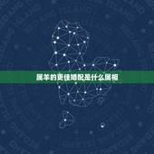 属羊的更佳婚配是什么属相，91年属羊更佳婚配属相