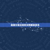 是缘分是注定好汉剖腹来参见，求 世界第一等 的歌词意思
