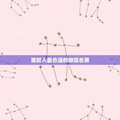 属蛇人最合适的微信名男，1977年属蛇微信名2022