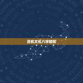 灵机文化八字精批，玑元阁和灵机文化身份关系