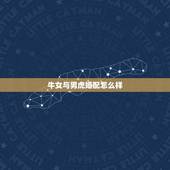 牛女与男虎婚配怎么样，虎男与牛女婚姻会长久吗