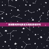 属蛇属相男和属龙女婚配属相好吗，男属蛇和女属龙的生什么生肖的孩子好。