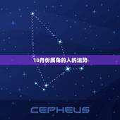 10月份属兔的人的运势，1999年10月13日的人出生的今年的运气怎样
