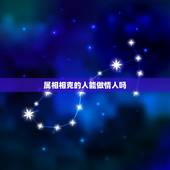 属相相克的人能做情人吗 71年属猪男的婚外情