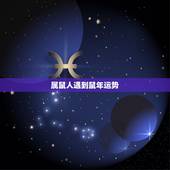 属鼠人遇到鼠年运势，属鼠2022 年出生好不好
