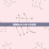 属猴的2022年七月运势，2022属猴全年运势女