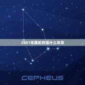 2001年属蛇的是什么年命，01年属蛇五行什么命