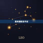 属羊跟蛇合不合，属蛇与属羊的人合不合