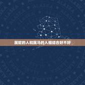 属蛇的人和属马的人相结合好不好，属蛇的能依靠属马的吗