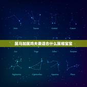 属马加属鸡夫妻适合什么属相宝宝，属马女和属鸡马相配吗？