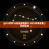2022虎年12生肖运势排行 2022年事业第一好的生肖