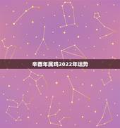 辛酉年属鸡2022年运势，1981属鸡未来10年运程