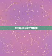 查尔斯和卡米拉的属相，查尔斯王子和卡米拉相差几岁.